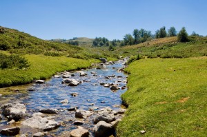 Corsican Stream